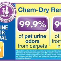 VIP Chem Dry