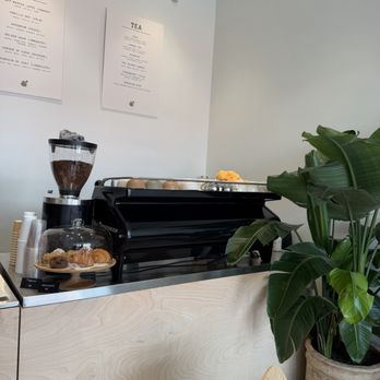 Eden Plant - Coffee & Tea Near Me - Houston, Texas Eden Plant - Coffee & Tea Near Me - Houston, Texas