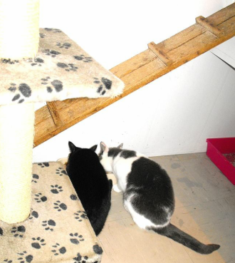 Stod Fold STOD FOLD BOARDING KENNELS - Updated June 2026 - Hays Lane, Halifax ...