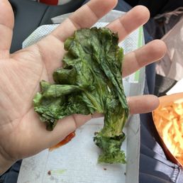 Lettuce Lettuce
