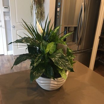 Simply Flowers - Florists Near Me - West Jordan, Utah Simply Flowers - Florists Near Me - West Jordan, Utah