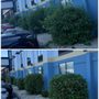 Photo of Home Grown Landscaping