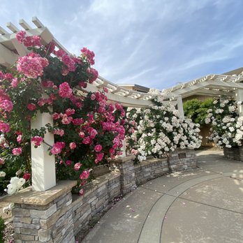 Natomas Rose Garden - Parks Near Me - Sacramento, California Natomas Rose Garden - Parks Near Me - Sacramento, California