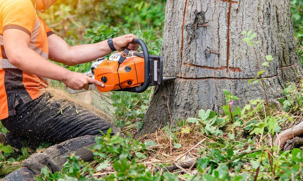 All Seasons Tree Service - tree service in Sacramento, CA