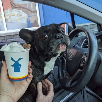 Dutch Bros Coffee - And don't forget a pupachino! - Juice Bars & Smoothies Near Me - Modesto, California