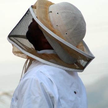 California Exterminating Service - Pest Control Near Me California Exterminating Service - Pest Control Near Me