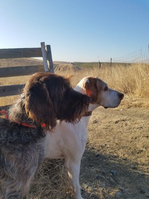 QUAIL POINT HUNT CLUB - 15 Photos & 20 Reviews - 29625 County Rd 14