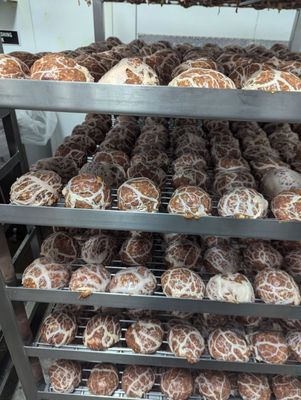 Public Smokehouse by null