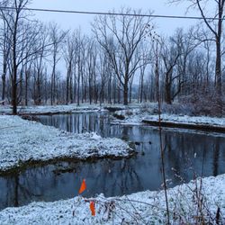 Millbrook Marsh Nature Center