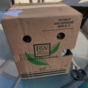 Proven Winners - When this box arrives, it's like Christmas, cupcakes with sprinkles, spotting a unicorn, and winning the lottery all in one! - Nurseries & Gardening Near Me - DeKalb, Illinois