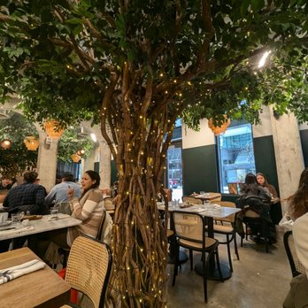 Pigeon - Interiors - Coffee & Tea Near Me - Toronto, Ontario