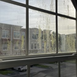 Vista Cay Resort by Orlando Resorts Rental - Algae on front window