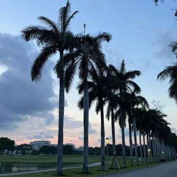 The Boca Raton - Golf course - Hotels Near Me - Boca Raton, Florida
