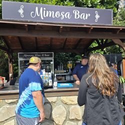 Mimosa Bar