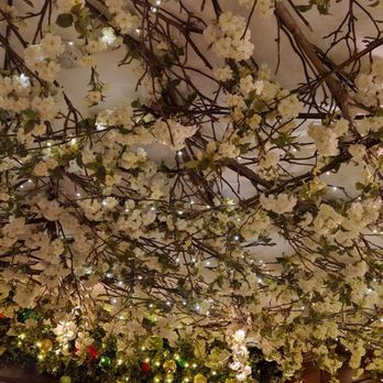 Clos Maggiore - French Near Me - London, XGL