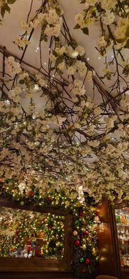 Clos Maggiore by null