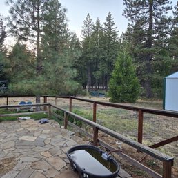 The new backyard for pup play The new backyard for pup play