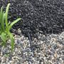 Photo of Colin's landscaping