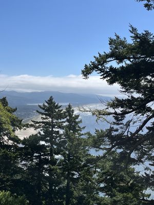 Oswald West State Park by null