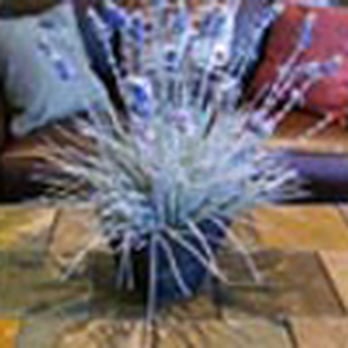 Sole Therapy Medical Day Spa - Step into a luxurious spa experience and let us help you step away from the stress of everyday life and indulge yourself. - Massage Near Me - Yakima, Washington Sole Therapy Medical Day Spa - Step into a luxurious spa experience and let us help you step away from the stress of everyday life and indulge yourself. - Massage Near Me - Yakima, Washington