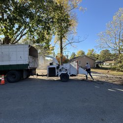 DC Tree Services