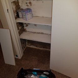 Safeguard Environmental Consultants - Dont let this destroy your home and your health