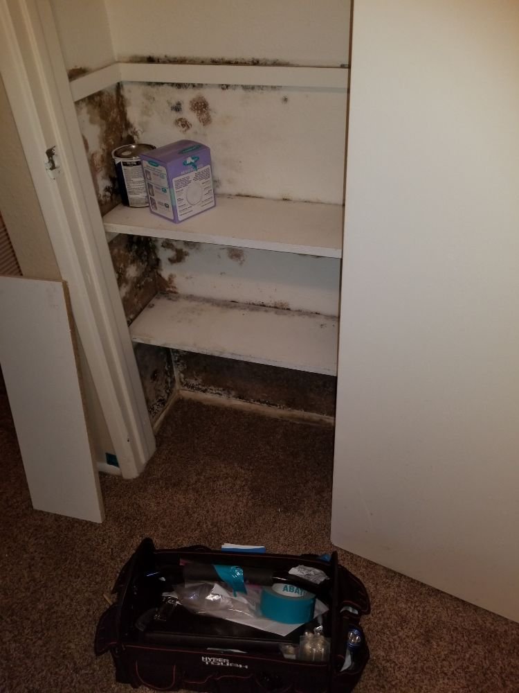 Safeguard Environmental Consultants - mold inspector in Mesa, AZ