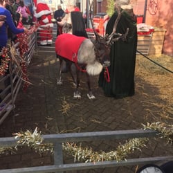 Bedminster High Street - Reindeer here today