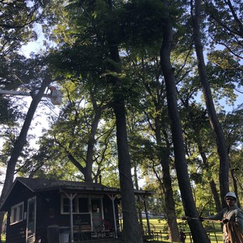 HGTS - We were honored to clean up the Oaks on this property and protect a childhood cabin! - Tree Services Near Me - Elburn, Illinois