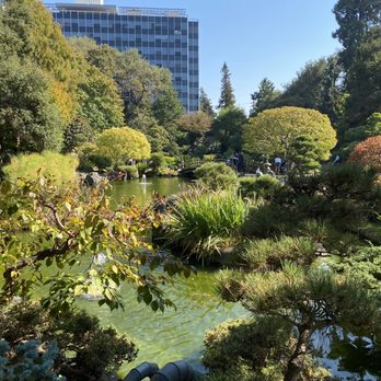 Japanese Gardens - Parks Near Me - San Mateo, California Japanese Gardens - Parks Near Me - San Mateo, California