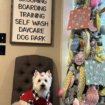 Melissa's Prestigious Pawz - Pet Training Near Me - Fort Worth, Texas Melissa's Prestigious Pawz - Pet Training Near Me - Fort Worth, Texas