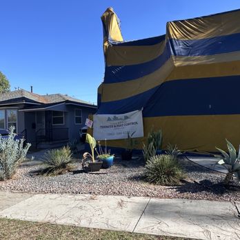 Long Beach Termite & Pest Control - California Heights we got your termite needs covered. - Pest Control Near Me Long Beach Termite & Pest Control - California Heights we got your termite needs covered. - Pest Control Near Me