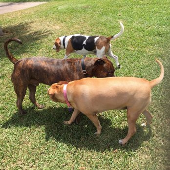 Happy Tails Dog Park - Dog Parks Near Me - Plantation, Florida Happy Tails Dog Park - Dog Parks Near Me - Plantation, Florida