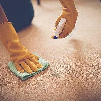 Deep Eddy Rug Cleaners - Carpet Cleaning Near Me - Austin, Texas