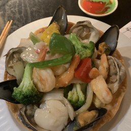 Treasure Nest