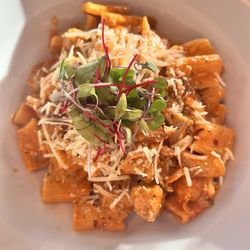 Grappa - Spicy Sausage Rigatoni