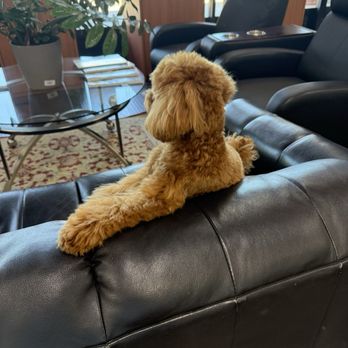 Fluffy Paws Grooming Studio - Pet Groomers Near Me - Mission Viejo, California