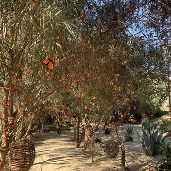 Casa Frida - Beautiful walkway to tasting room - Wine Tasting Room Near Me - Ensenada, BCN
