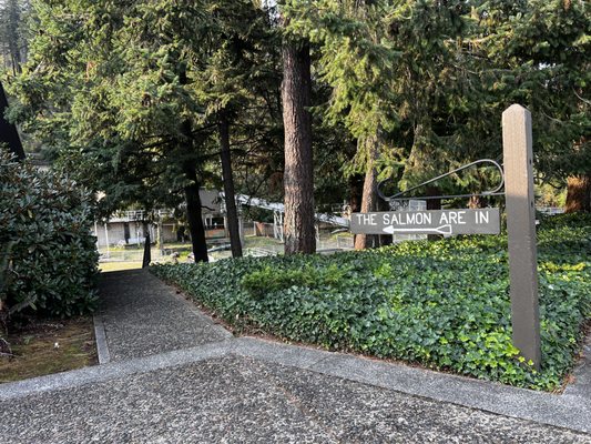 Bonneville Dam Fish Hatchery