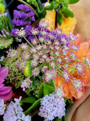 New Seasons Market - Sellwood by null