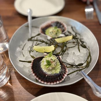 Jolie - Scallops - Seafood Near Me - Coronado, California