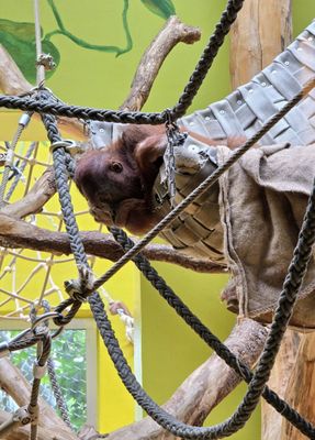 Hellabrunn Zoo by null