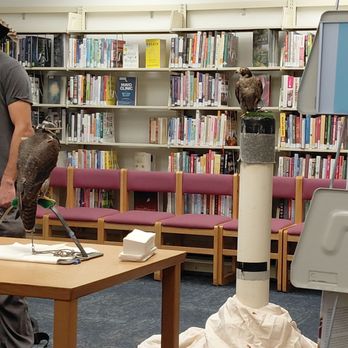 1. Lucerne Vly Branches San Bernardino County Library
