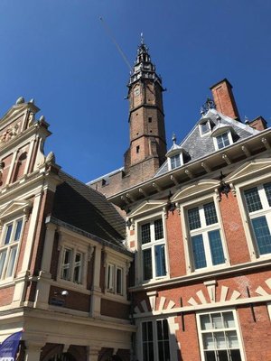 Town Hall Haarlem by null
