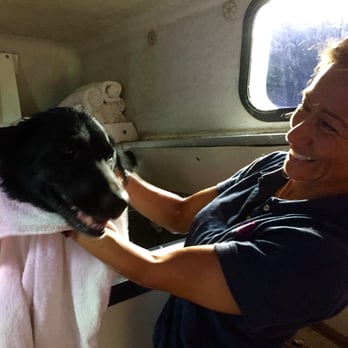 Doggylicious Mobile - Nina seemed to enjoy her time with Kansas, too! - Pet Groomers Near Me