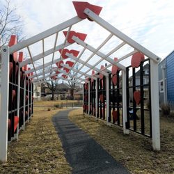 Reverse side of the pergola