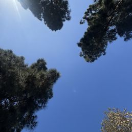 skyward view from grass :-) skyward view from grass :-)