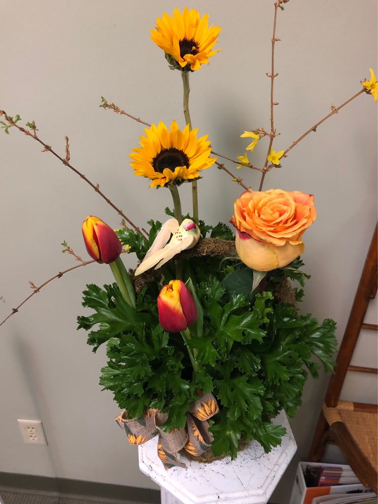 WEIDNERS FLOWERS Updated October 2024 38 Photos & 11 Reviews 105