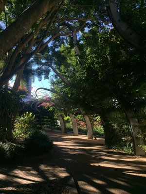 City Botanic Gardens by null
