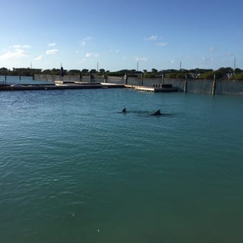 Hawks Cay Resort - Resorts Near Me - Duck Key, Florida Hawks Cay Resort - Resorts Near Me - Duck Key, Florida